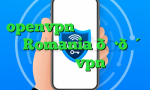 openvpn آی پی ثابت وی پی ان Romania 🇷🇴 رومانی vpn