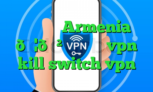 وی پی ان Armenia 🇦🇲 ارمنستان vpn kill switch vpn