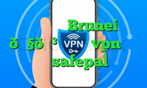 وی پی ان Brunei 🇧🇳 برونئی vpn ترید در safepal