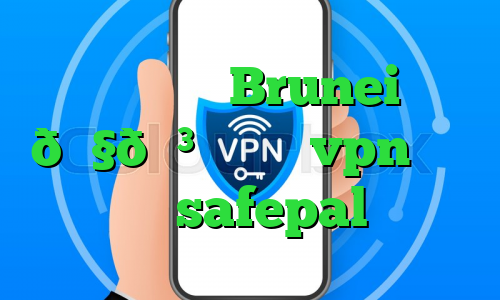 وی پی ان Brunei 🇧🇳 برونئی vpn ترید در safepal