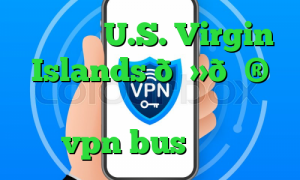 وی پی ان U.S. Virgin Islands 🇻🇮 جزایر ویرجین ایالات متحده vpn bus بایننس