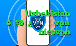 وی پی ان Uzbekistan 🇺🇿 ازبکستان vpn خرید فیلتر شکن nicevpn