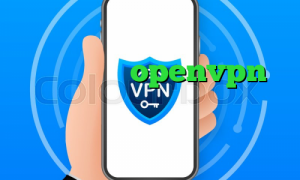 کیل سوییچ در openvpn آی پی اختصاصی چیست