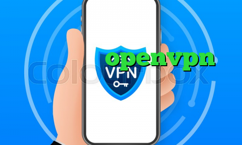 کیل سوییچ در openvpn آی پی اختصاصی چیست