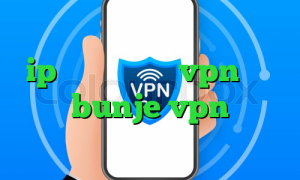 ip اختصاصی برای vpn خرید bunje vpn