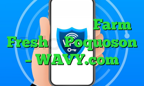 مکان جدید بازگشایی Farm Fresh در Poquoson – WAVY.com