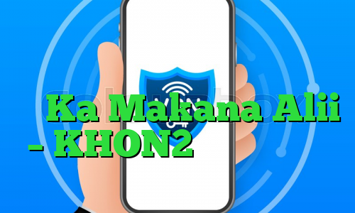 دومین مکان باغ زیتون در هاوایی در Ka Makana Alii – KHON2 افتتاح می شود